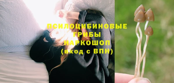 гашик Аркадак