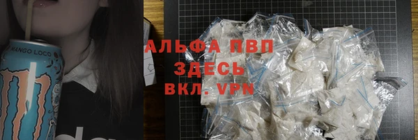 гашик Аркадак