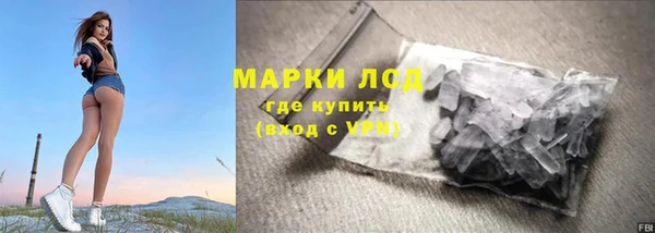 гашик Аркадак
