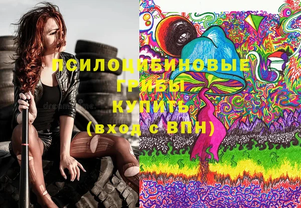 гашик Аркадак