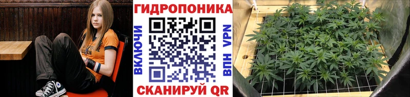 Марихуана Bruce Banner цены наркотик Валдай